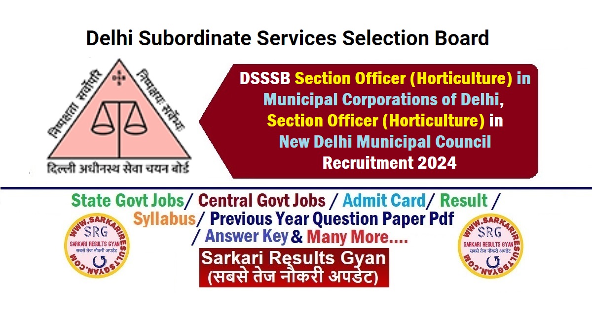 DSSSB-Section-Officer-Recruitment-2024